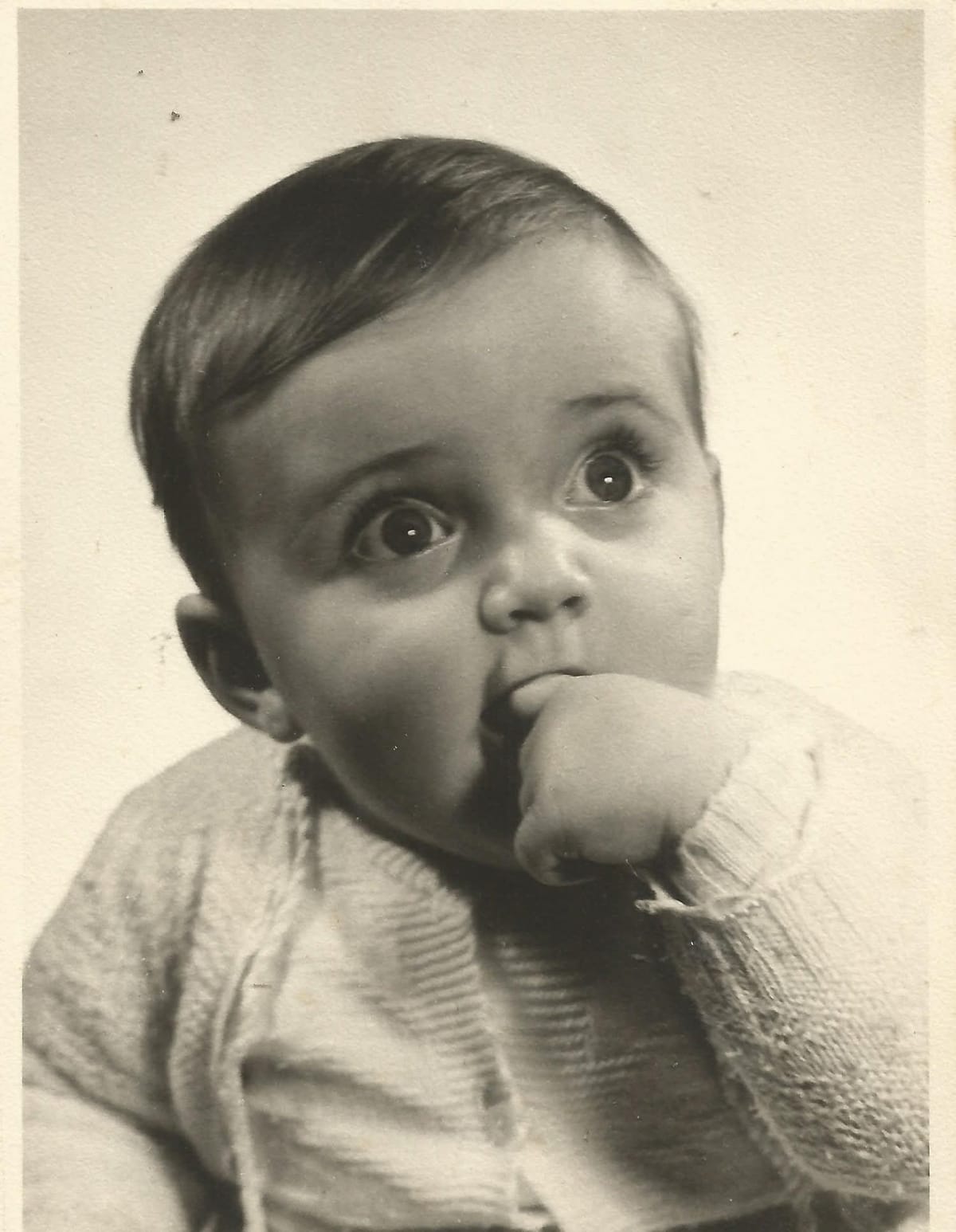 Paulo Faria, Provar e mostrar