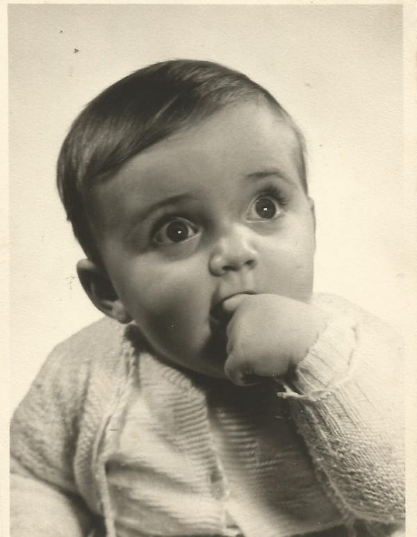 Paulo Faria, Provar e mostrar